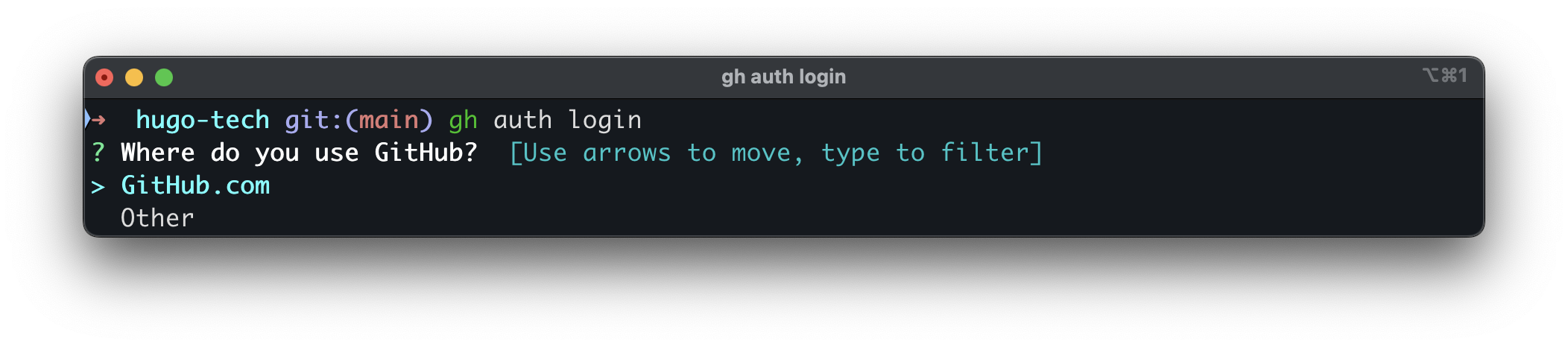 auth login 1