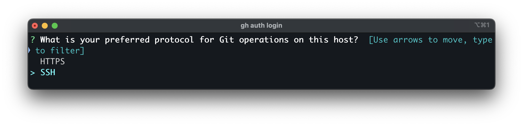 auth login 2