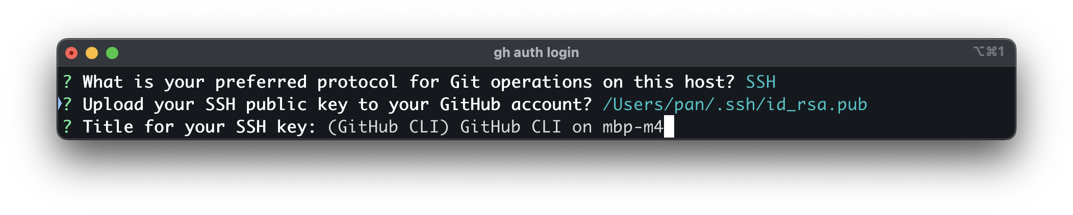 auth login 4