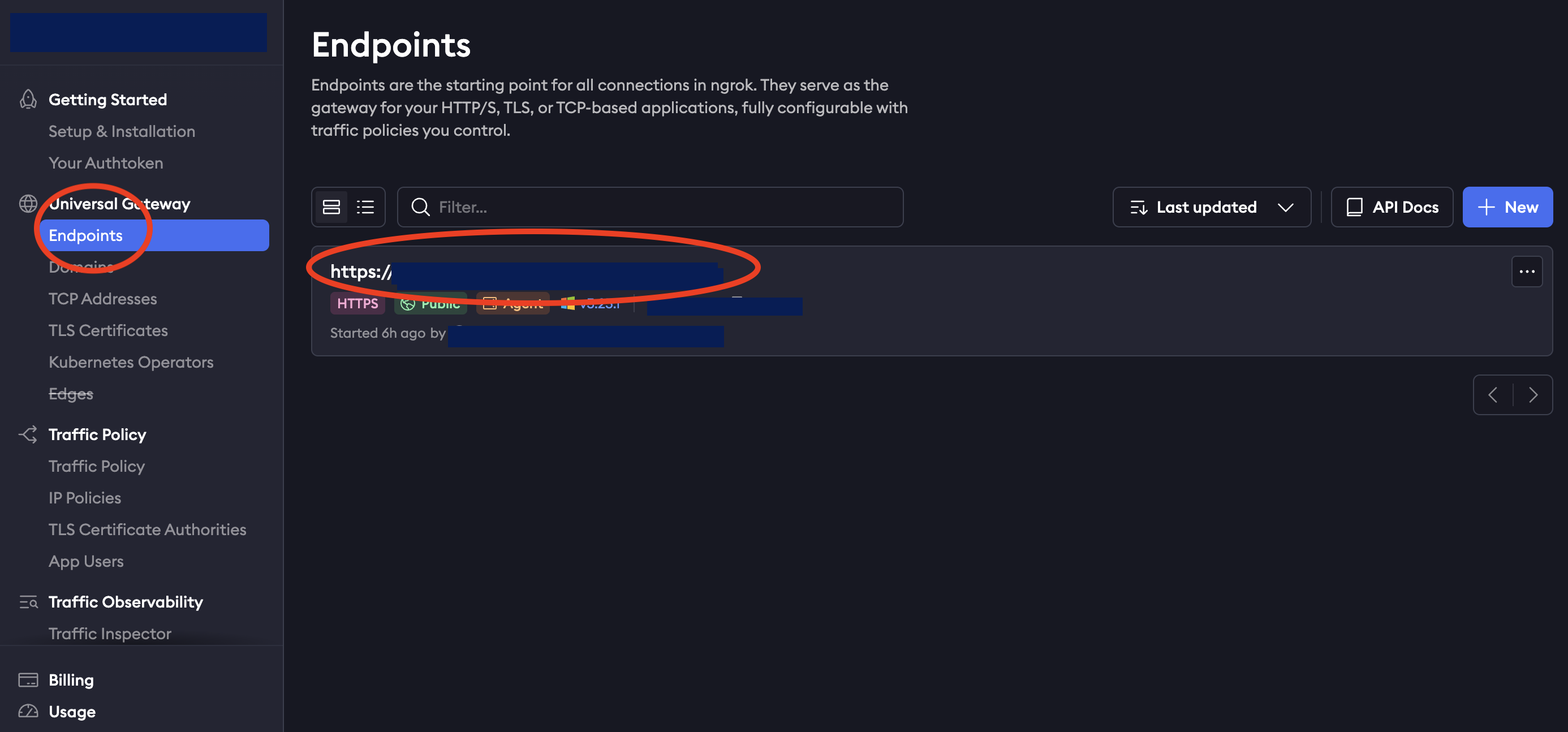 ngrok_endpoints